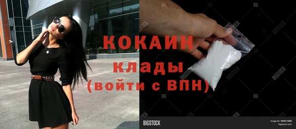 сатива Елизово