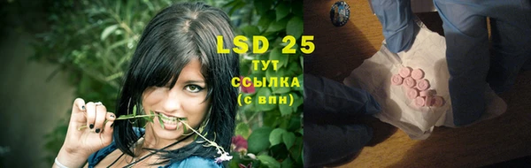 сатива Елизово