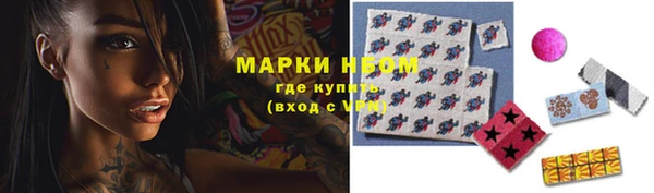 ешки Елабуга