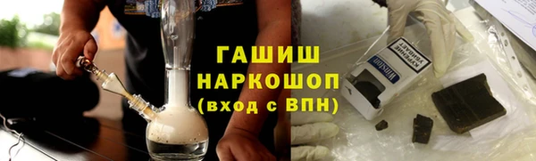 сатива Елизово