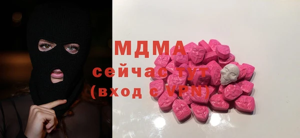 сатива Елизово