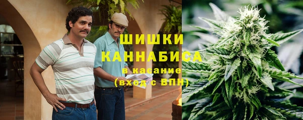 сатива Елизово