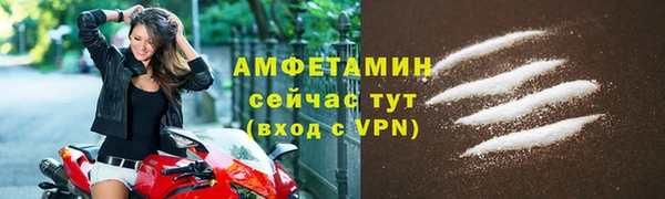 сатива Елизово