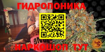 MDMA Можга