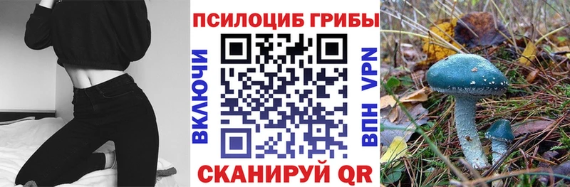 Псилоцибиновые грибы прущие грибы  купить наркоту  Урюпинск 